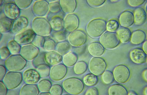 1639381549151328.png 29.png